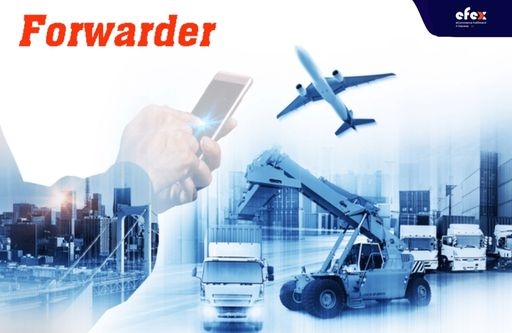 Freight Forwarder là gì? Top 5 công ty Forwarder xuất nhập khẩu uy tín