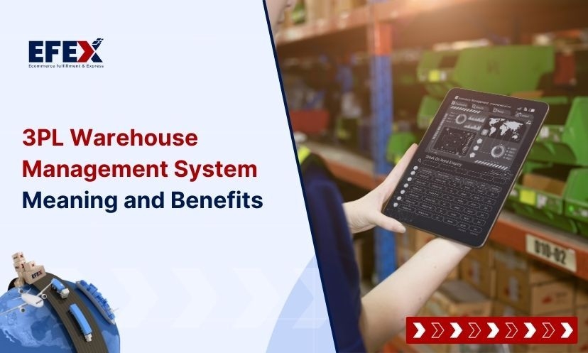 3PL Warehouse Management System: Meaning and Benefits