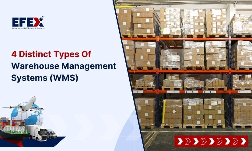 Types of warehouse management systems: Definition and Benefits
