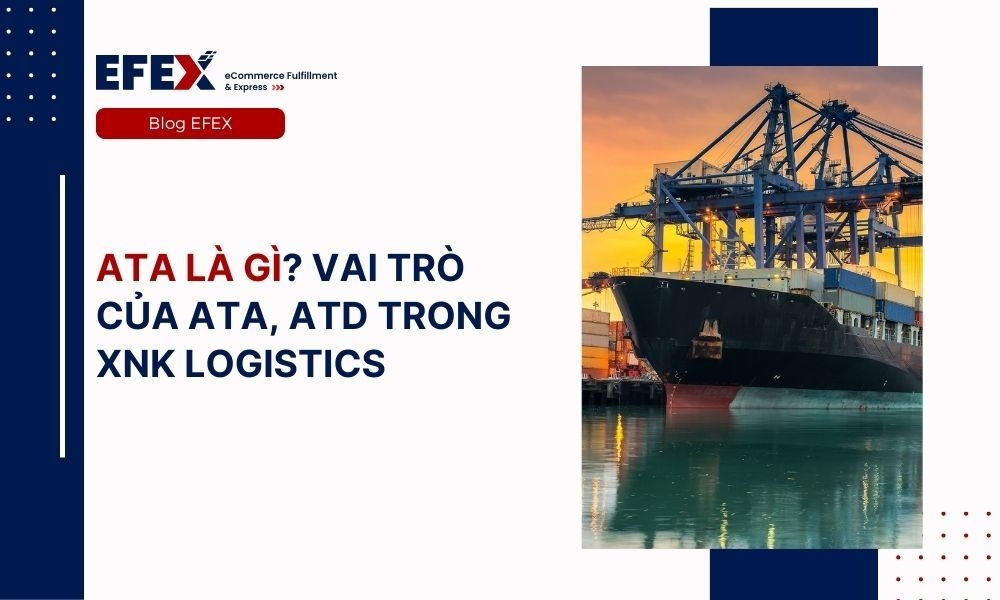 ATA là gì? Vai trò của ATA, ATD trong XNK logistics