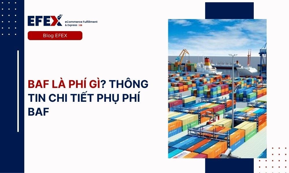 BAF là phí gì? Thông tin chi tiết phụ phí BAF