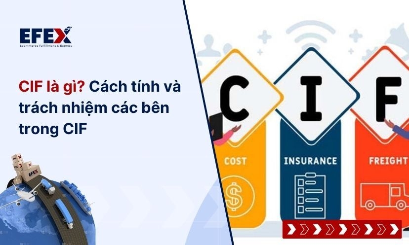 CIF là gì? Cách tính và trách nhiệm các bên trong CIF