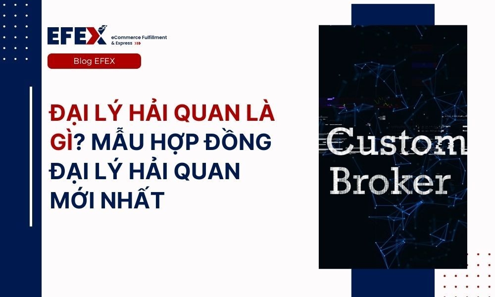 Đại lý hải quan là gì? Mẫu hợp đồng đại lý hải quan mới nhất