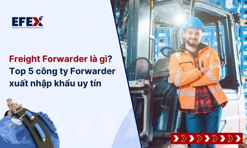 Freight Forwarder là gì? Top 5 công ty Forwarder xuất nhập khẩu uy tín