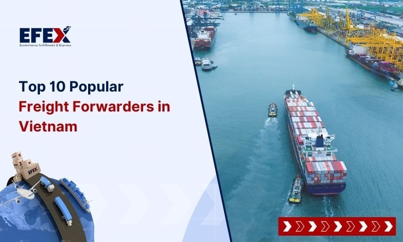 Top 10 Popular Freight Forwarders in Vietnam [Updated List]