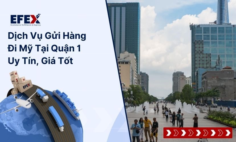 Dịch Vụ Gửi Hàng Đi Mỹ Tại Quận 1 Uy Tín, Giá Tốt - EFEX