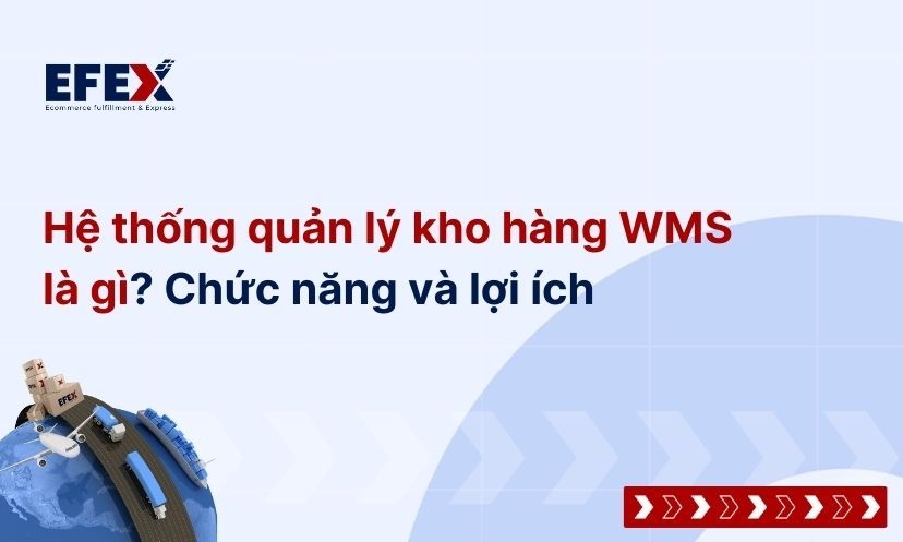 WMS là gì? Chức năng và lợi ích hệ thống quản lý kho hàng 
