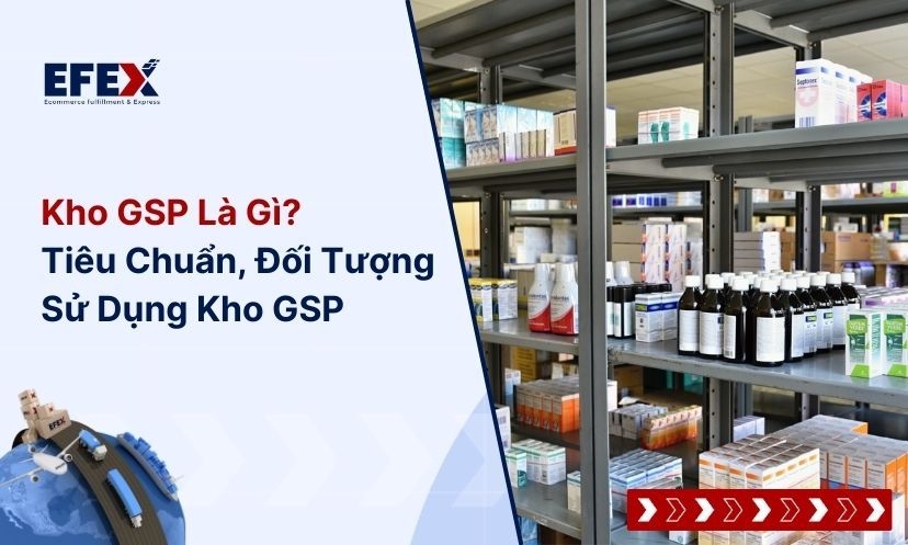 Kho GSP Là Gì? Tiêu Chuẩn, Đối Tượng Sử Dụng Kho Thuốc GSP