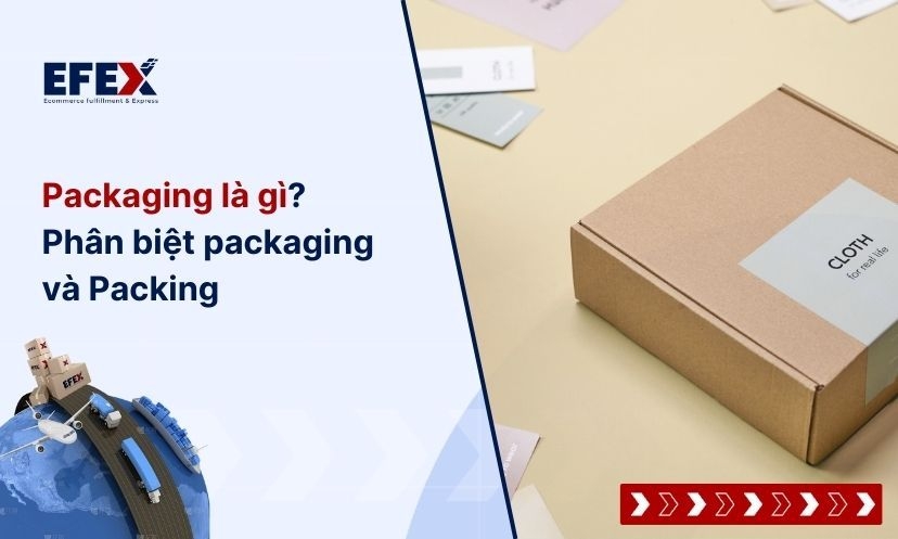 Packaging là gì? Phân biệt packaging và Packing