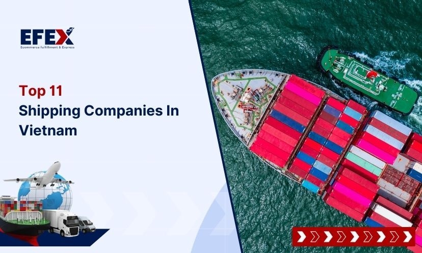 Shipping Company In Vietnam: Top 10 Popular ones in 2023