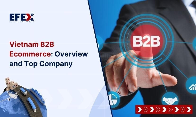 Vietnam B2B Ecommerce: Overview and Top Company