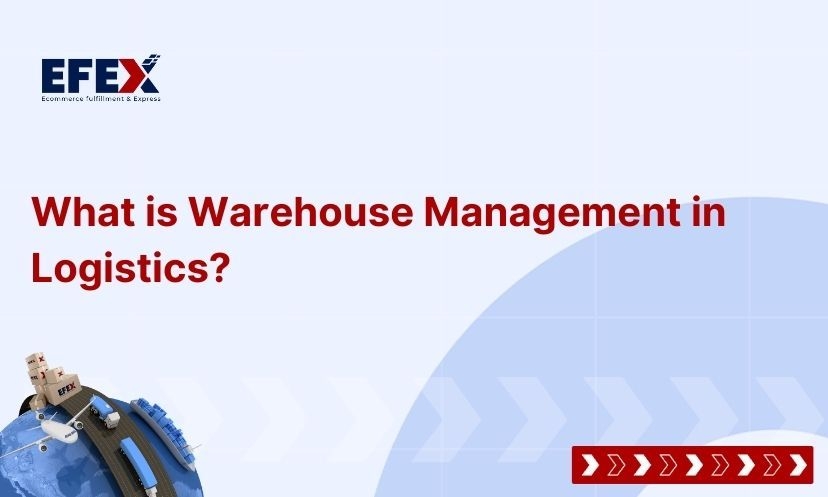 What is Warehouse Management in Logistics? Benefit and Challenges