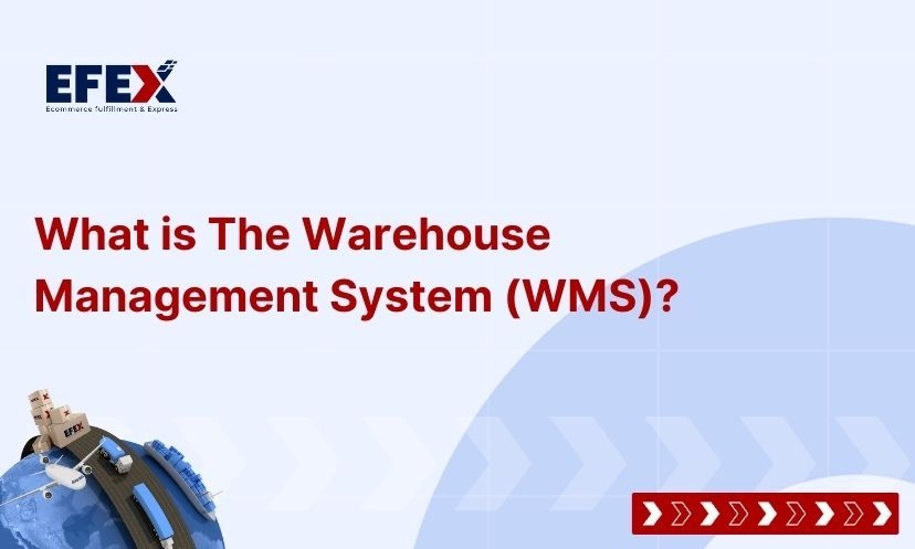 What is The Warehouse Management System (WMS)?