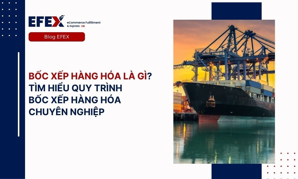 Bốc xếp hàng hóa là gì? 5 điều cần biết về bốc xếp hàng hóa