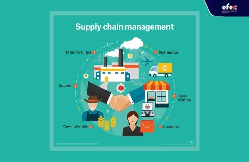 Supply chain là gì? Thông tin chi tiết về Supply Chain